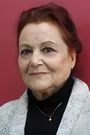 Diler Saraç Film ve Dizileri