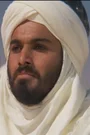 Habib Ageli Film ve Dizileri
