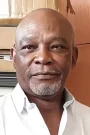 Nobert Young Film ve Dizileri
