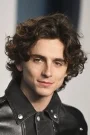 Timothée Chalamet Film ve Dizileri