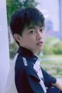 Zhang Fuzheng Film ve Dizileri