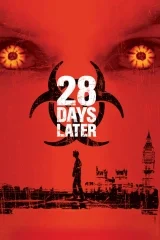 28 Üçlemesi