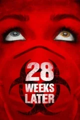 28 Hafta Sonra