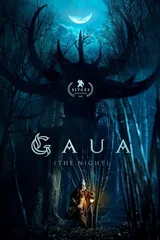 The Night
