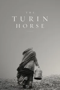 Torino Atı