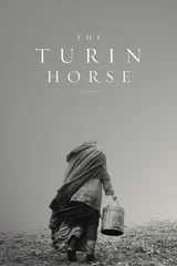 Torino Atı