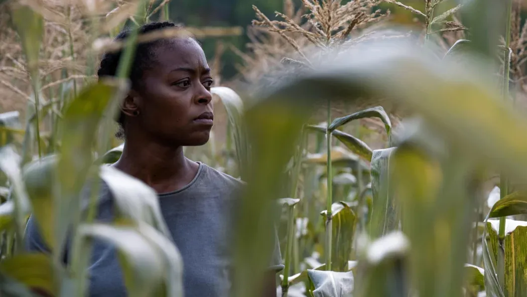 40 Acres izle