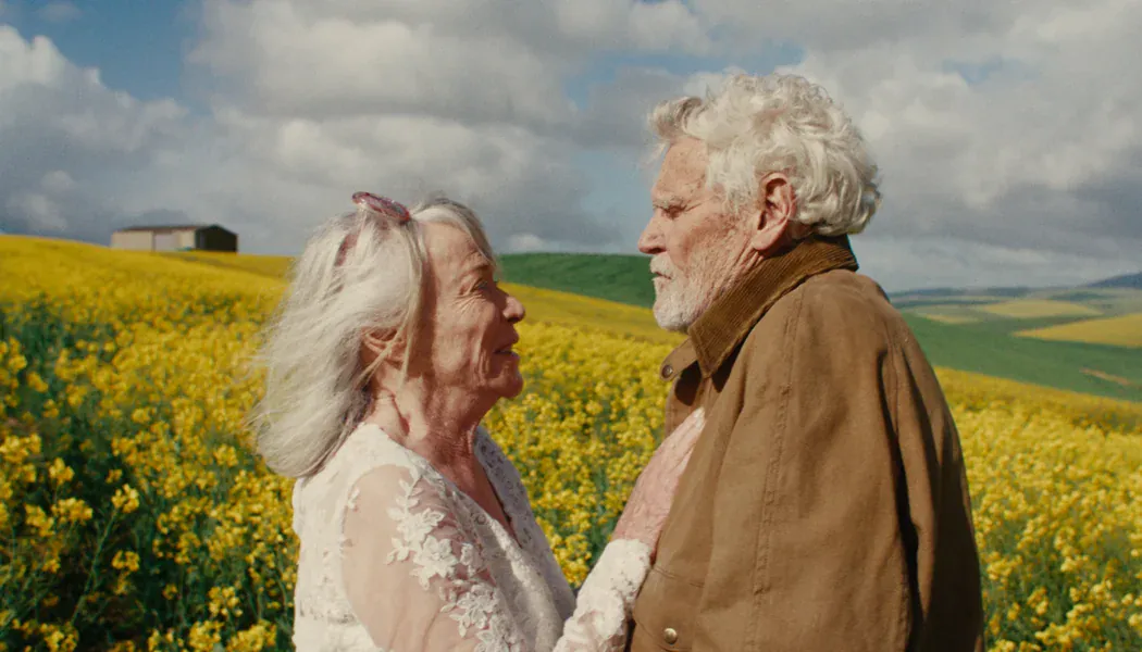 A Kind of Madness izle