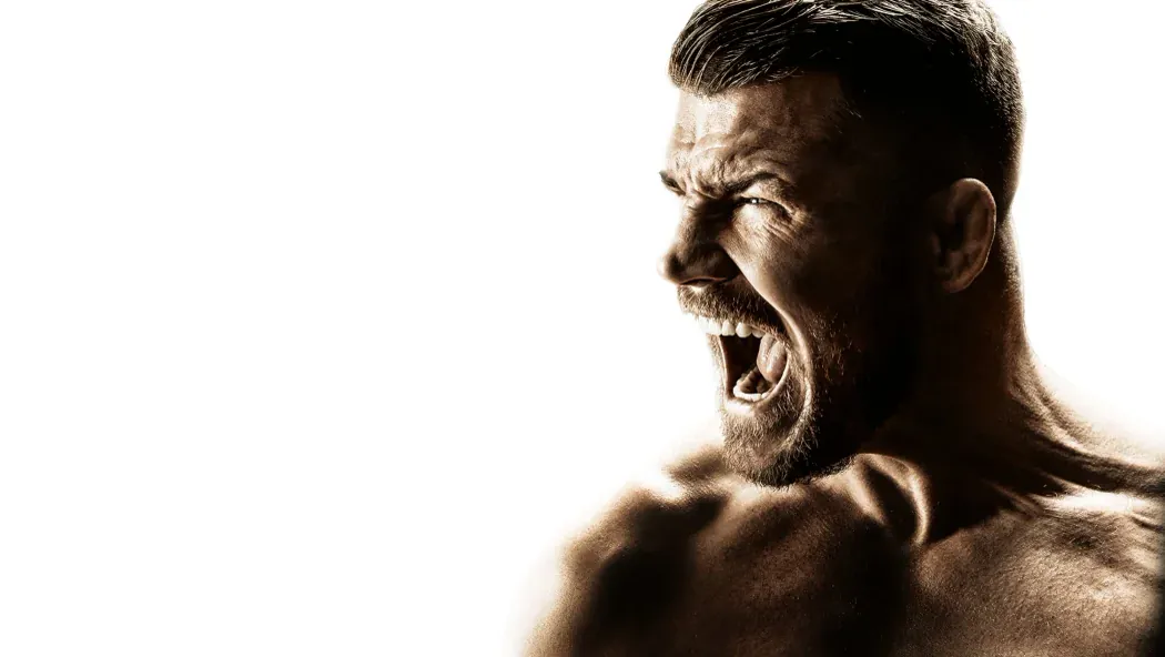 Bisping izle