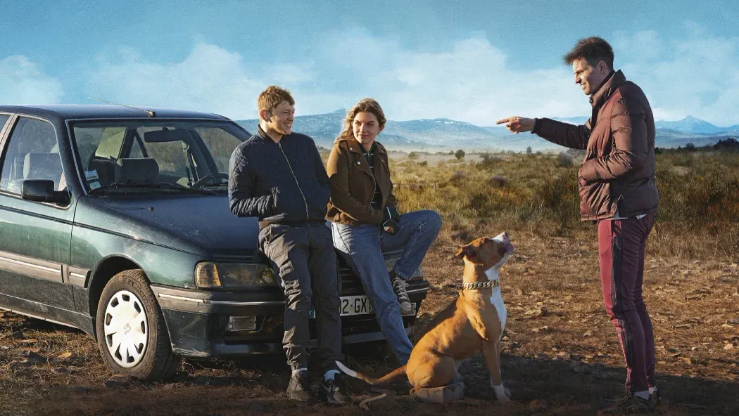 Chien de la casse izle