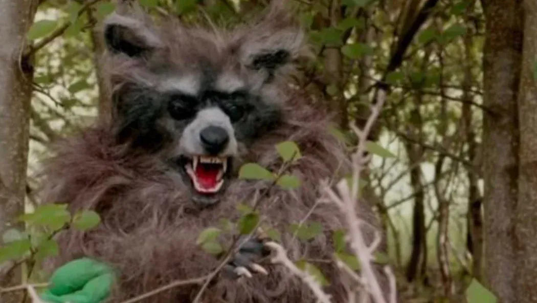 Crackcoon izle