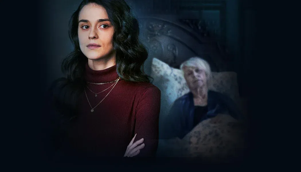 Danger in the House izle