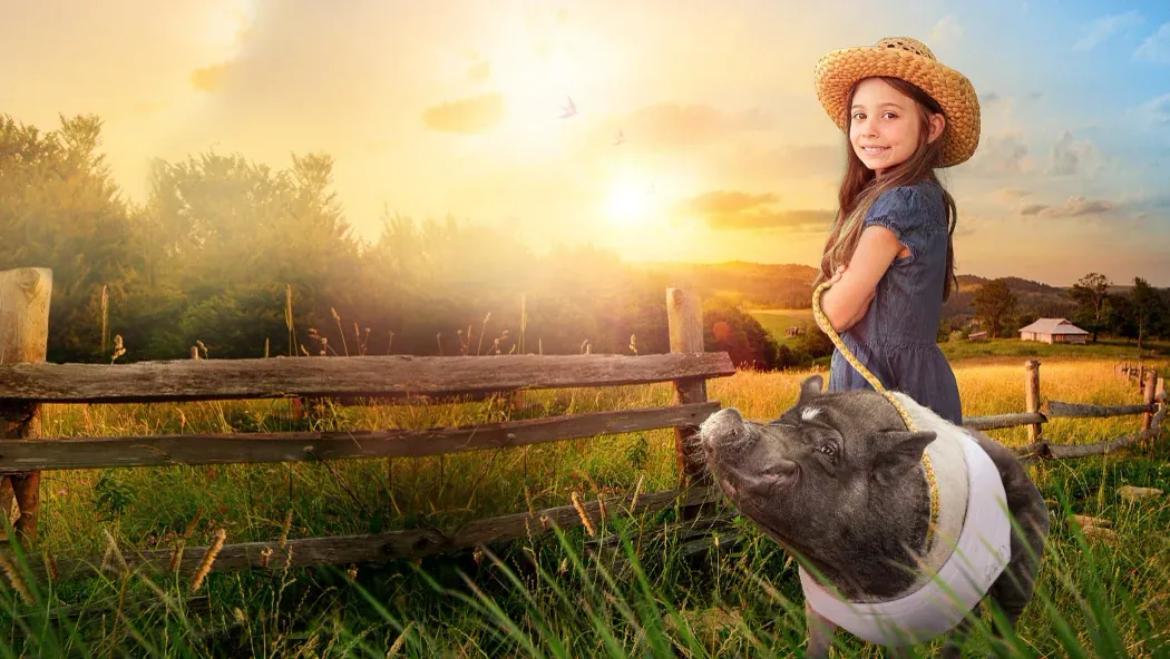 Elvis the Pig izle