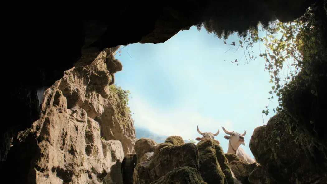 Delik izle