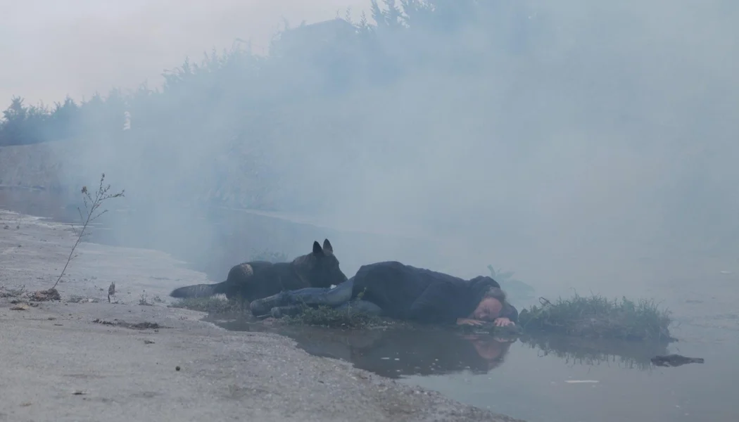 Neden Tarkovski Olamıyorum... izle