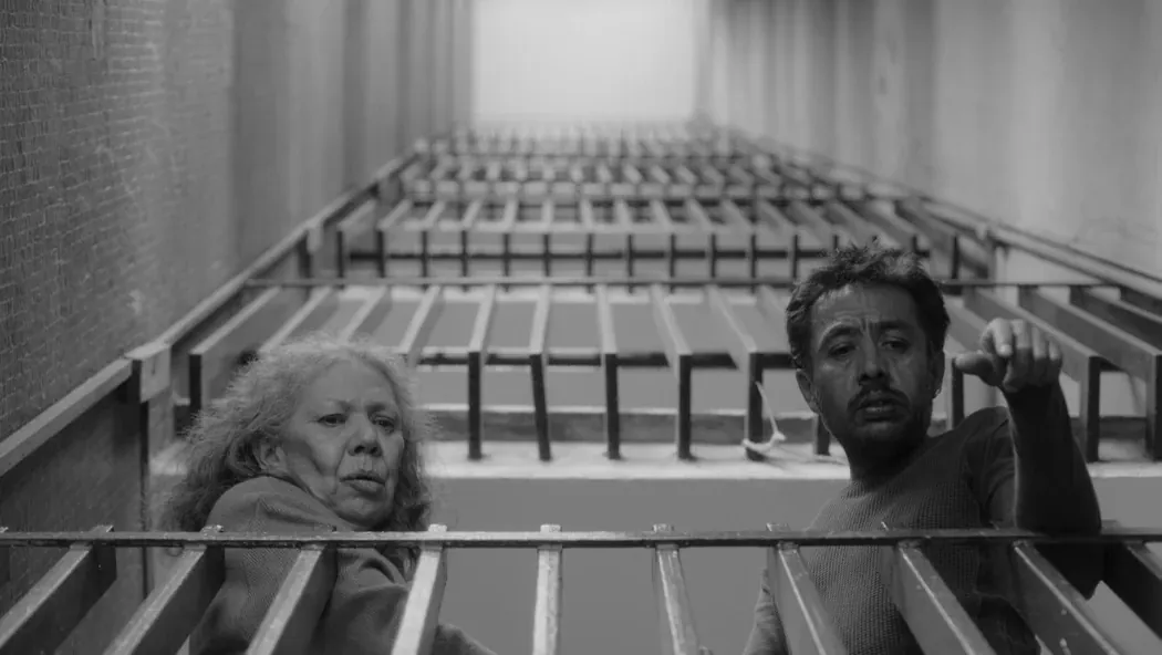 No Nos Moveran izle