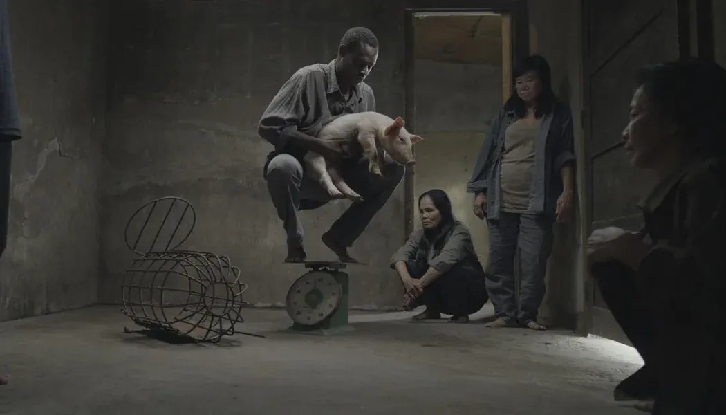 Tat izle