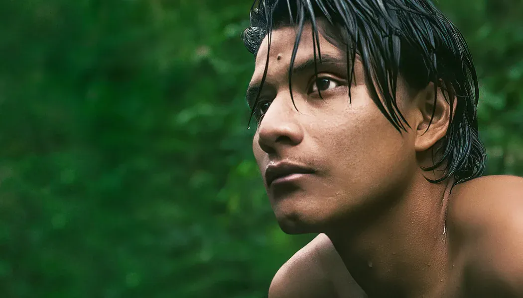 The Territory izle