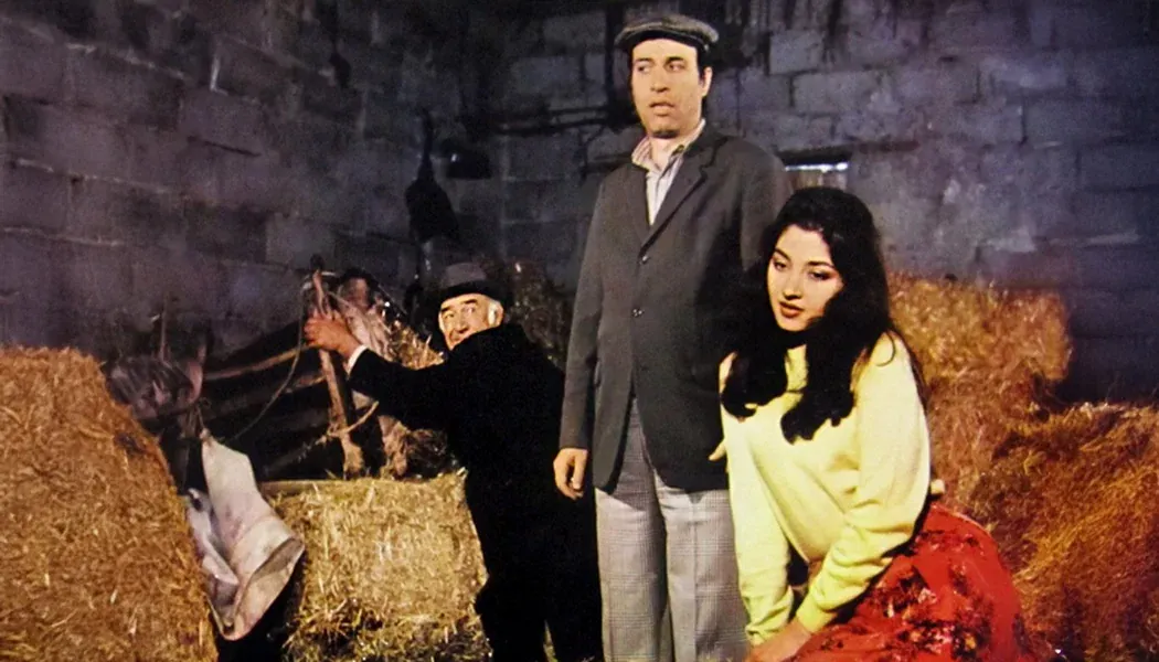 Tokatçı izle