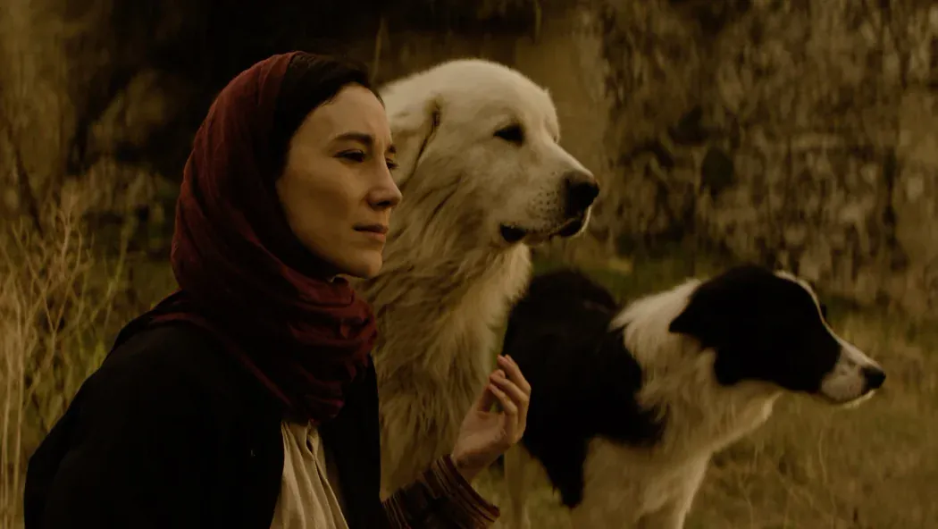 Yunan izle